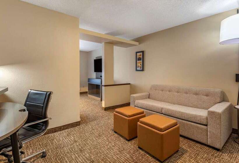 فندق Comfort Inn & Suites North Dallasaddison