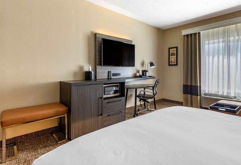 فندق Comfort Inn & Suites North Dallasaddison