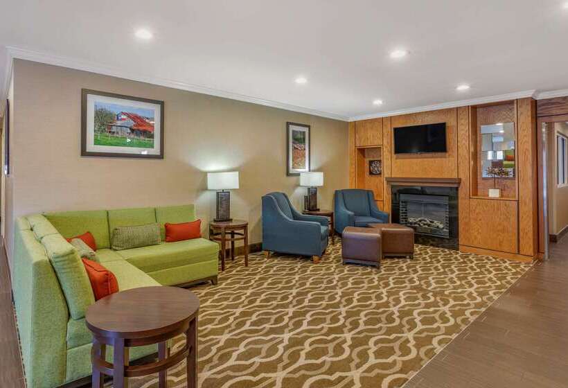 فندق Comfort Inn & Suites North Dallasaddison