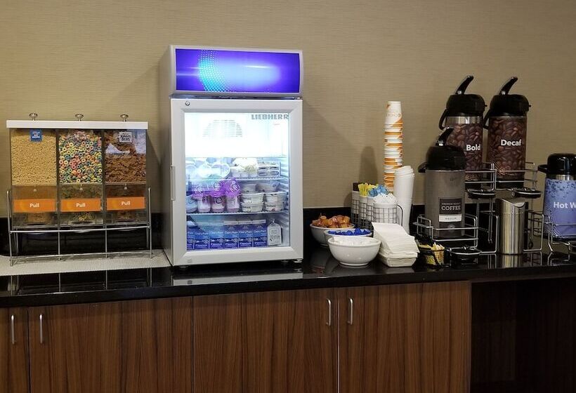 ホテル Comfort Inn & Suites North Dallasaddison