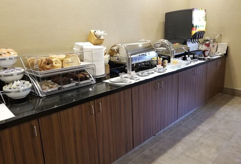 فندق Comfort Inn & Suites North Dallasaddison