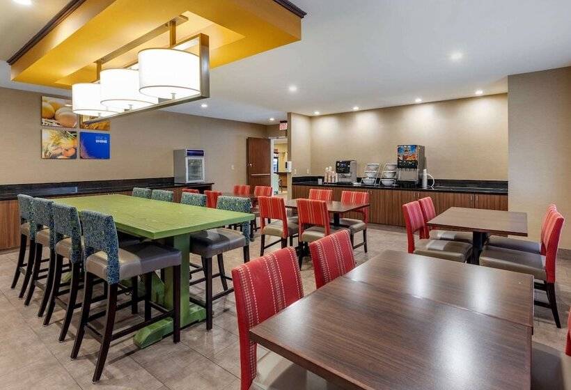 فندق Comfort Inn & Suites North Dallasaddison