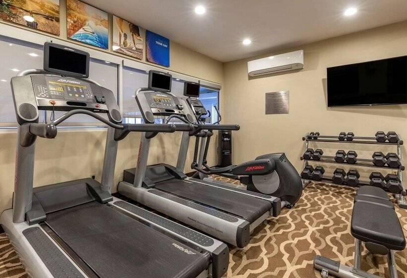 فندق Comfort Inn & Suites North Dallasaddison