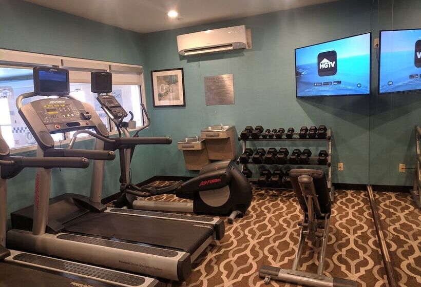 ホテル Comfort Inn & Suites North Dallasaddison