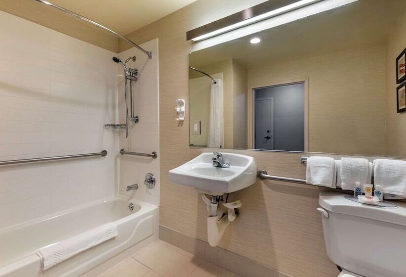 فندق Comfort Inn & Suites North Dallasaddison