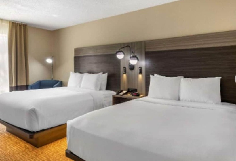 فندق Comfort Inn & Suites North Dallasaddison