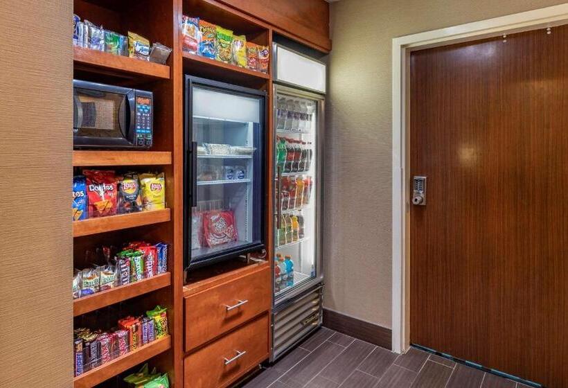 فندق Comfort Inn & Suites North Dallasaddison