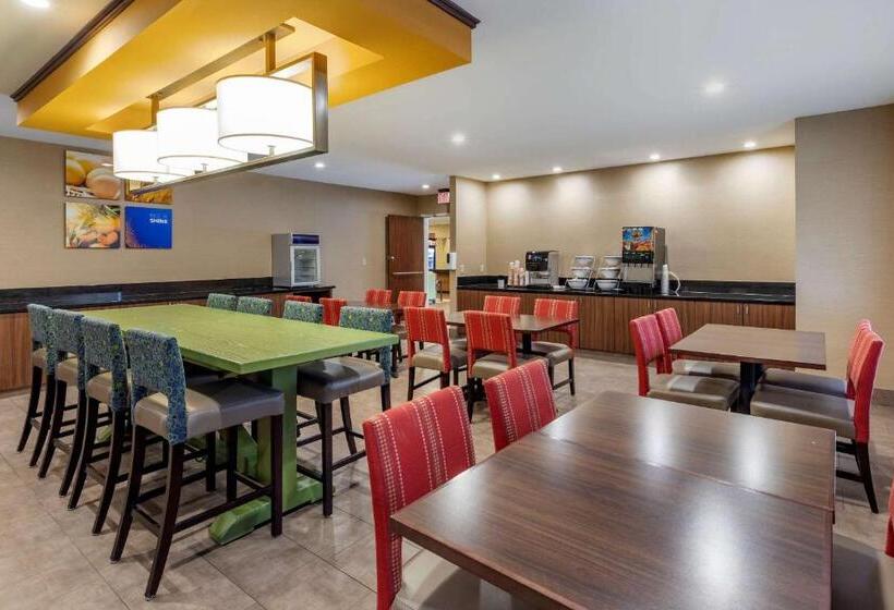 فندق Comfort Inn & Suites North Dallasaddison