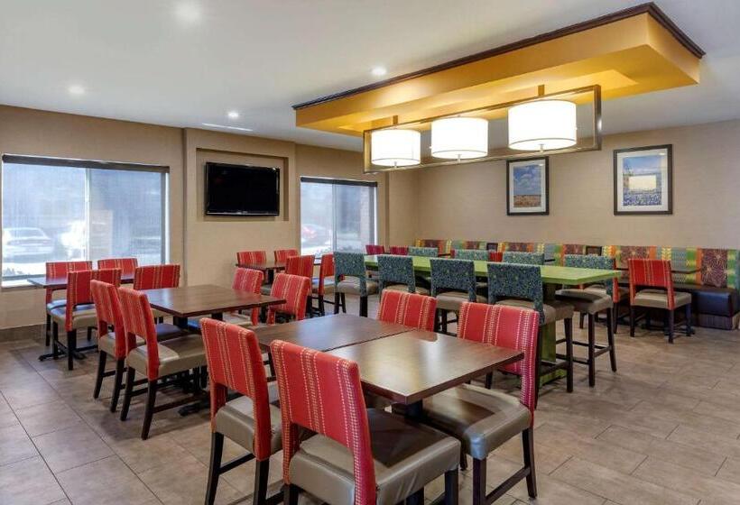 فندق Comfort Inn & Suites North Dallasaddison