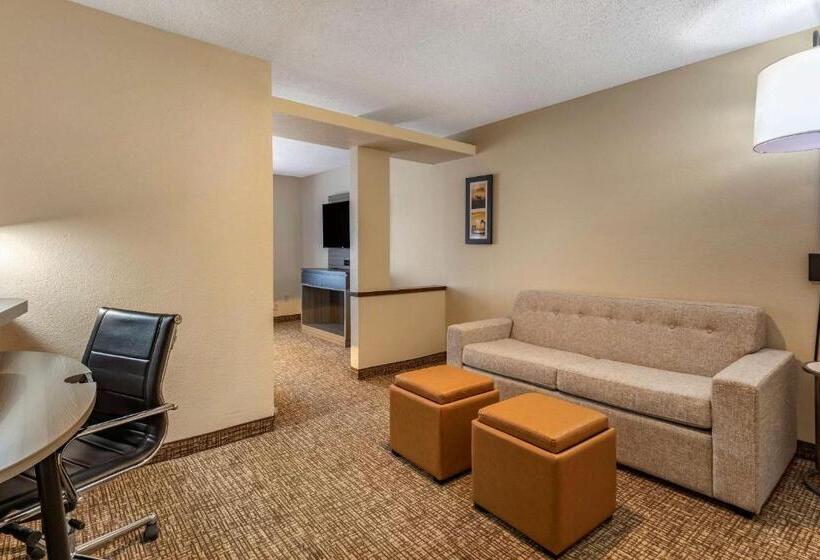فندق Comfort Inn & Suites North Dallasaddison