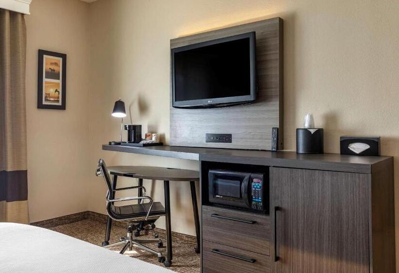 فندق Comfort Inn & Suites North Dallasaddison