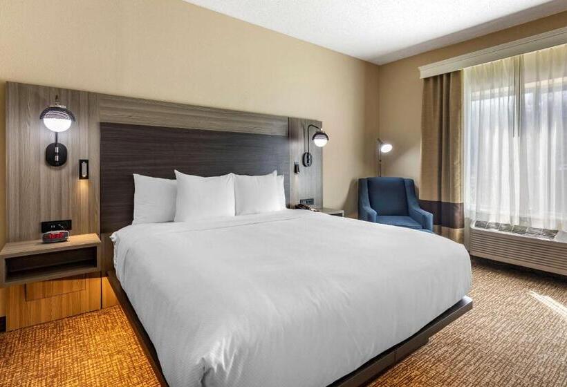 ホテル Comfort Inn & Suites North Dallasaddison