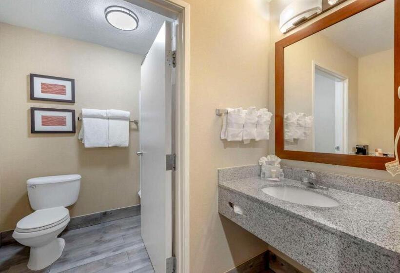 فندق Comfort Inn & Suites Orem  Provo