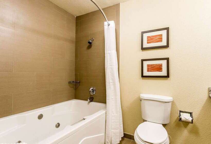 酒店 Comfort Inn & Suites Rocklin   Roseville