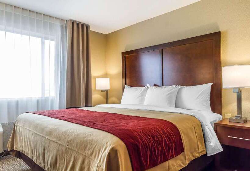 酒店 Comfort Inn & Suites Rocklin   Roseville