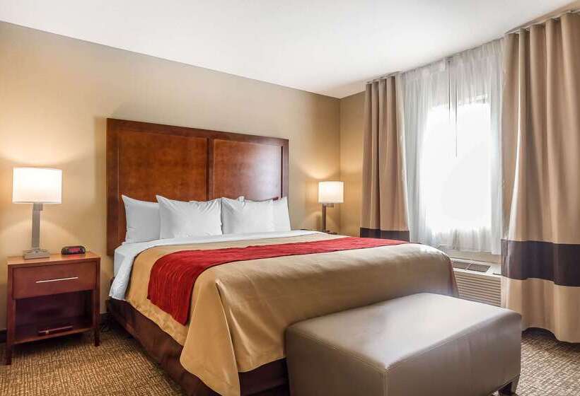 酒店 Comfort Inn & Suites Rocklin   Roseville