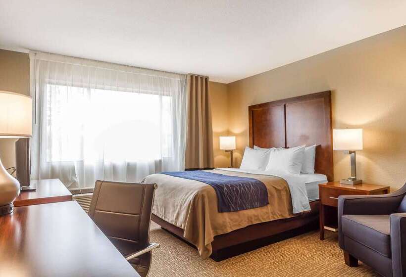 酒店 Comfort Inn & Suites Rocklin   Roseville