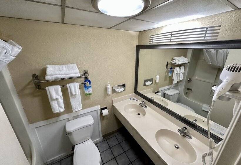 هتل Clarion Inn & Suites Near The Leconte Center Pigeon Forge