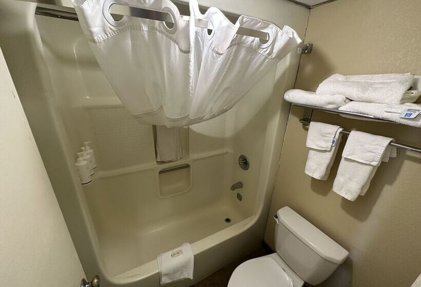 هتل Clarion Inn & Suites Near The Leconte Center Pigeon Forge