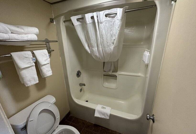 هتل Clarion Inn & Suites Near The Leconte Center Pigeon Forge