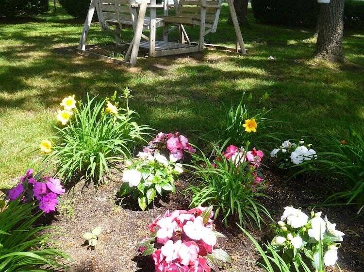 酒店 Falmouth Heights Motor Lodge