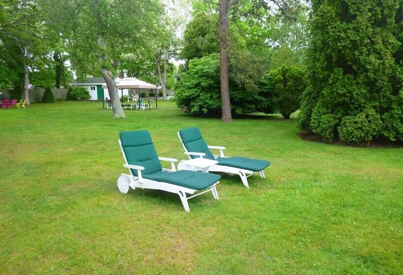 酒店 Falmouth Heights Motor Lodge