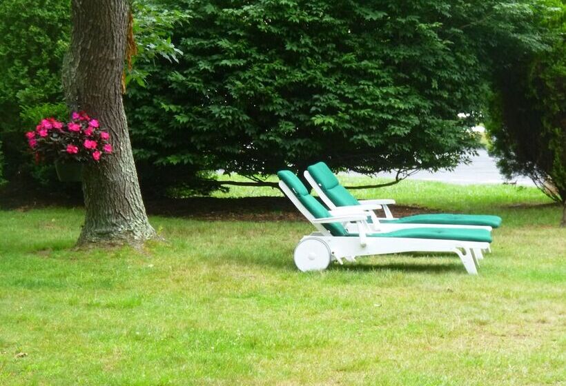 酒店 Falmouth Heights Motor Lodge