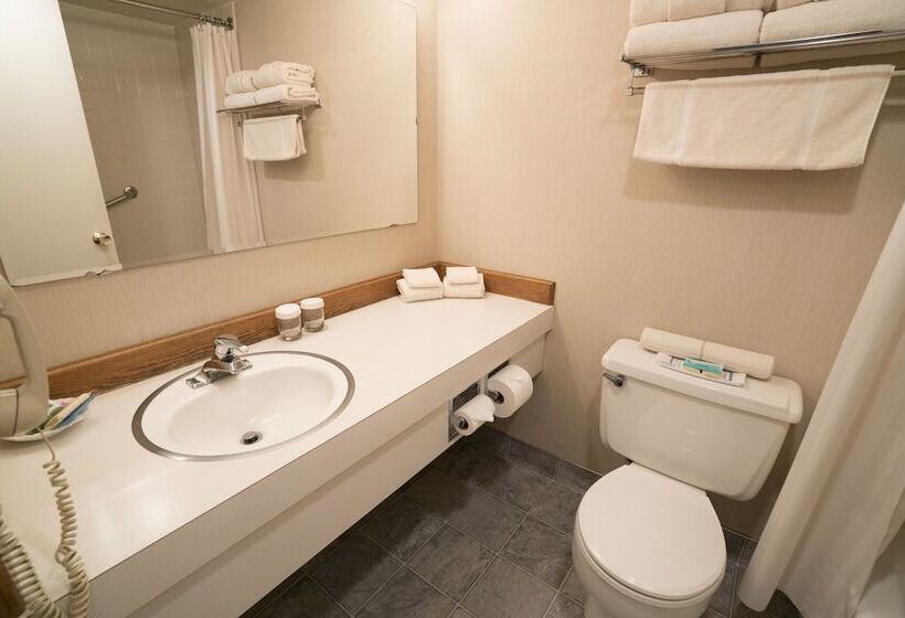 Отель Flagship Inn