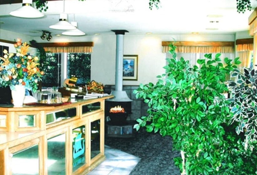 Отель Flagship Inn