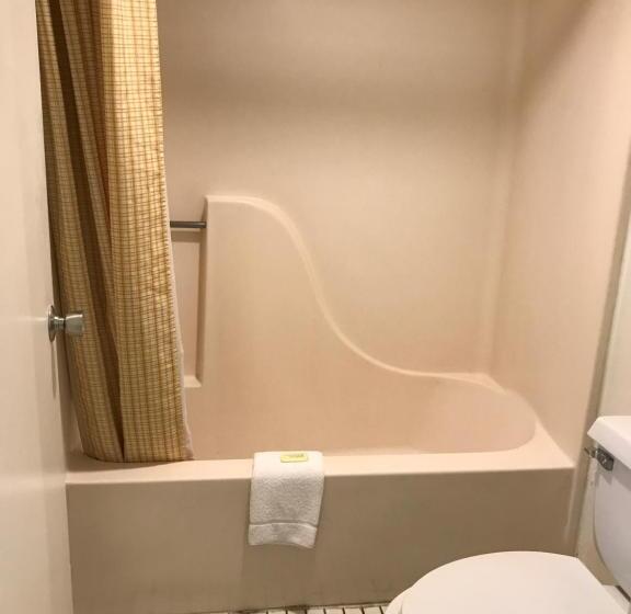 هتل Flamingo Inn
