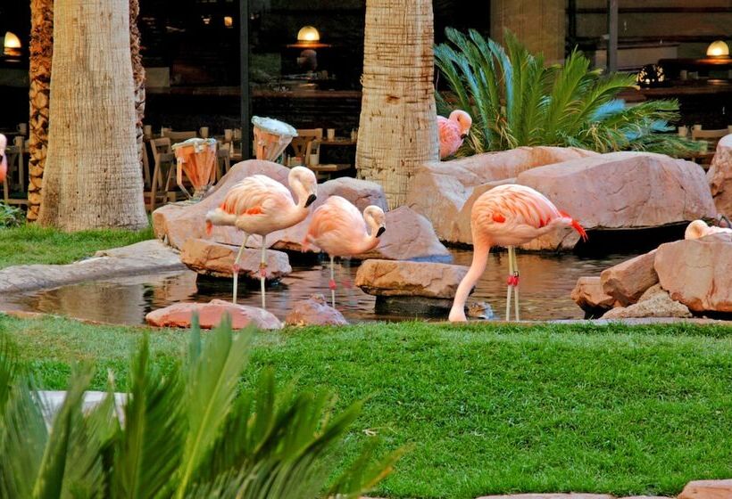 Flamingo Las Vegas Hotel & Casino