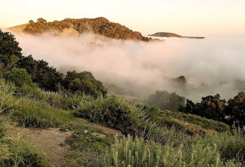 酒店 Fogcatcher Inn