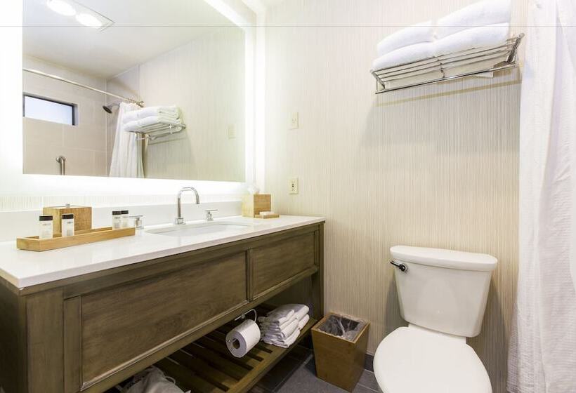 酒店 Fogcatcher Inn