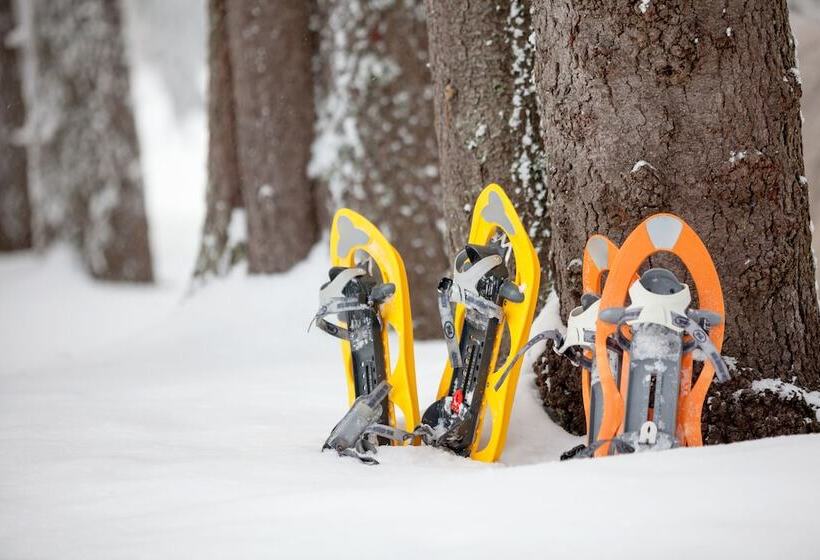 ホテル Four Chimneys Inn