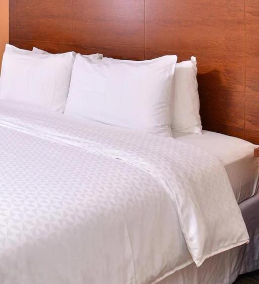 Radisson Hotel Detroit Metro Airport