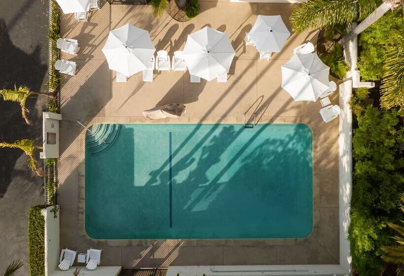 فندق The Franciscan