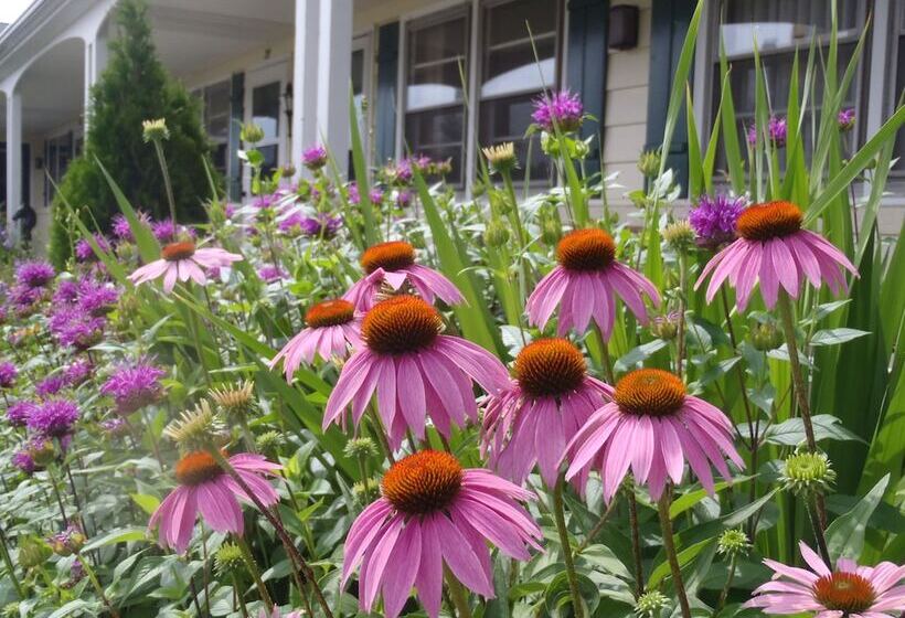 فندق Glass House Inn Erie Near I90 & I79