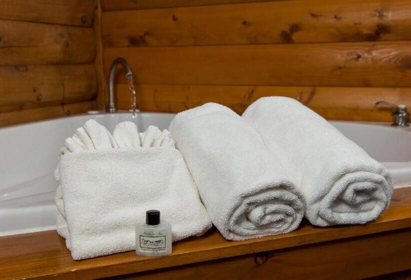 هتل Goldmoor Inn & Resort
