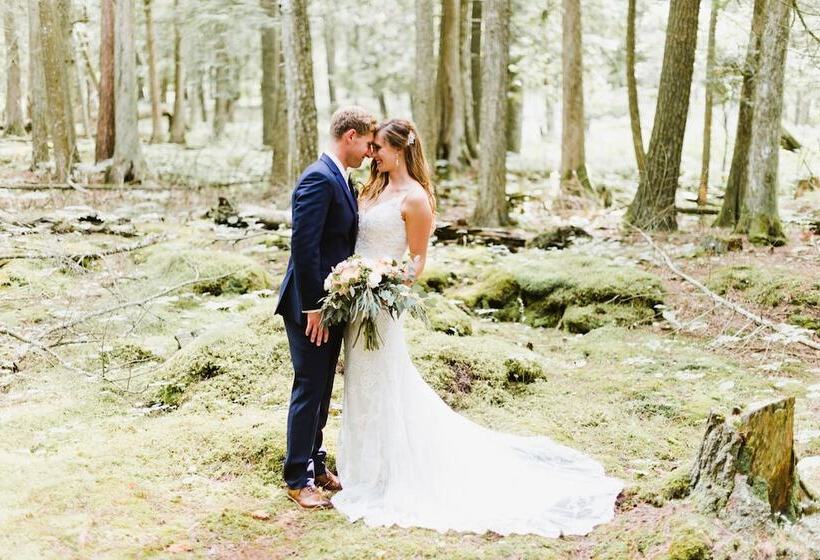 Отель Gordon Lodge