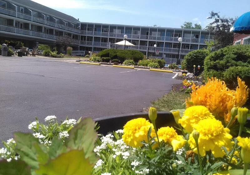 호텔 The Grand Beach Inn