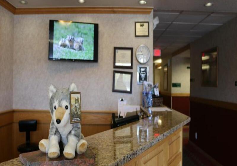 فندق Gray Wolf Inn & Suites