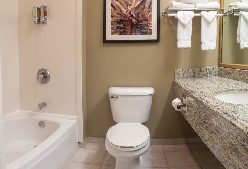 فندق Gray Wolf Inn & Suites