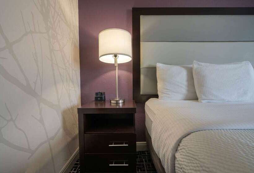 ホテル La Quinta Inn & Suites By Wyndham Fort Collins, Colorado