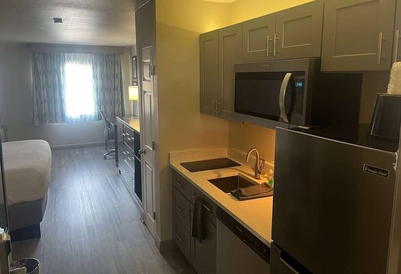 ホテル La Quinta Inn & Suites By Wyndham Fort Collins, Colorado