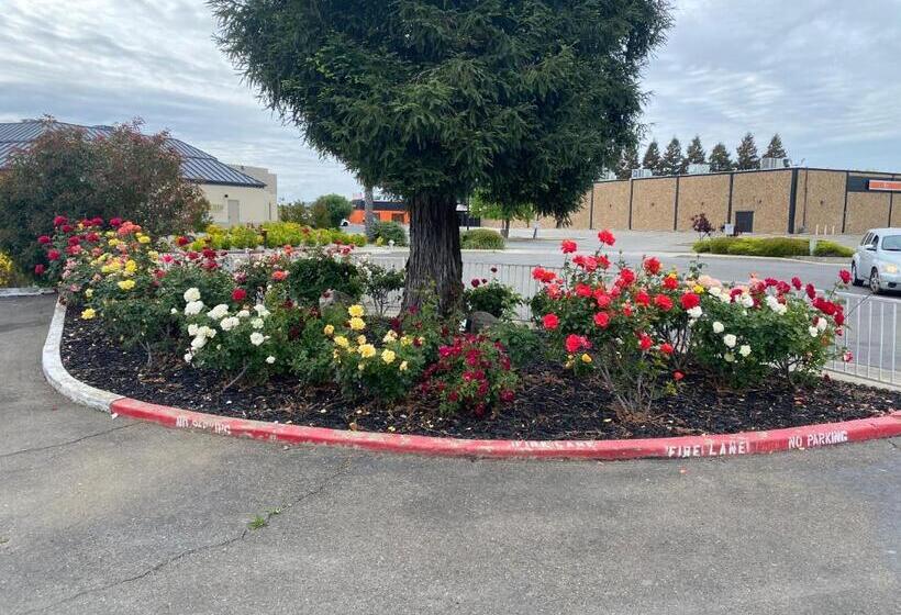 בית מלון כפרי Oasis Inn Sacramento Elk Grove