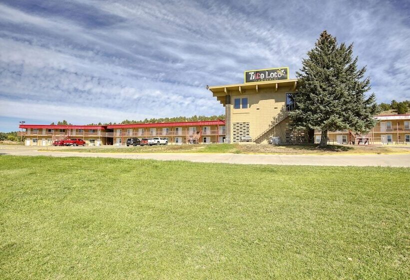 فندق Super 8 By Wyndham Newcastle