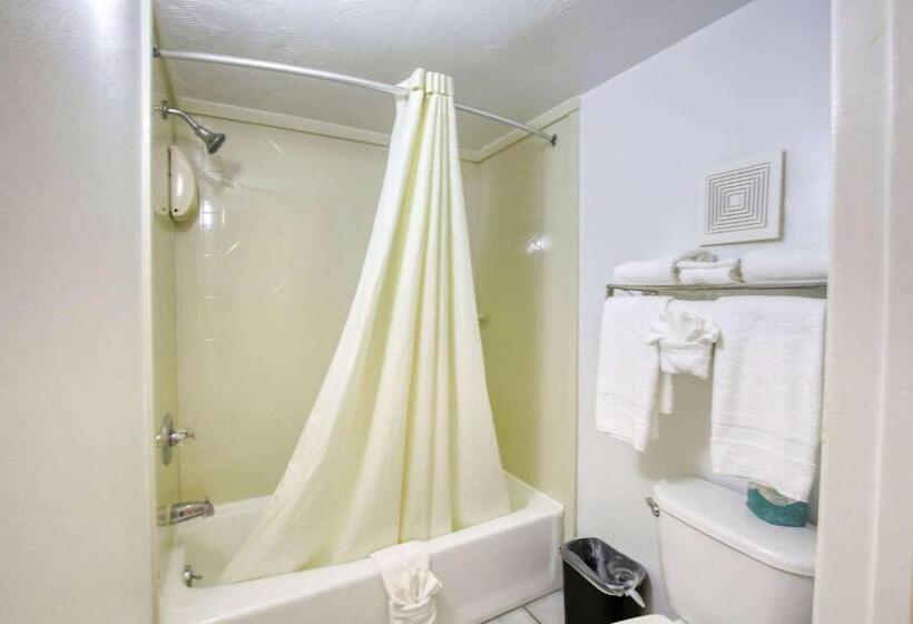 فندق Super 8 By Wyndham Newcastle