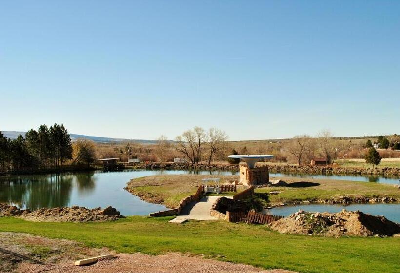 فندق Super 8 By Wyndham Newcastle