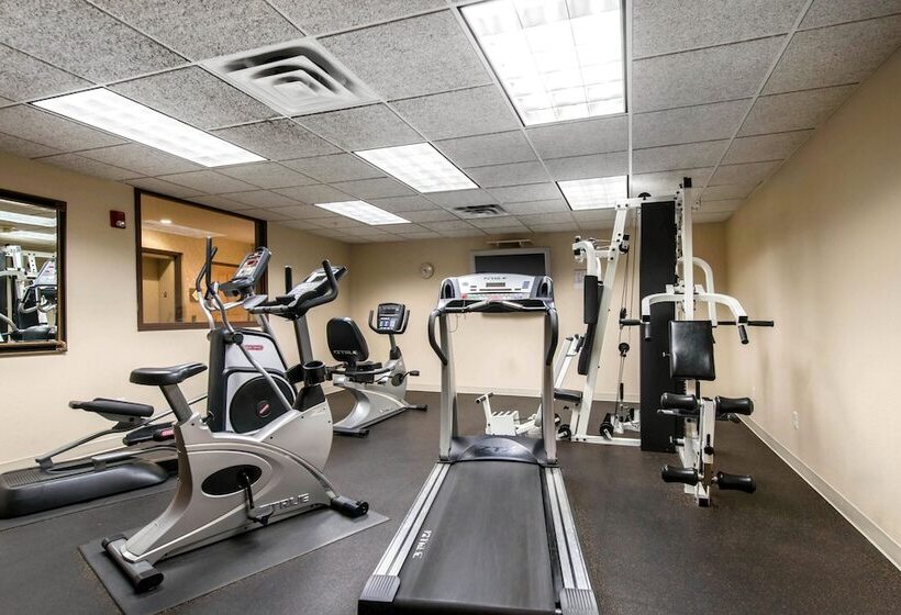 The Golden Hotel, Ascend Hotel Collection