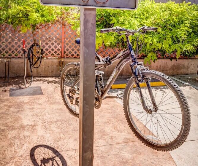 בית מלון כפרי The Gonzo Inn